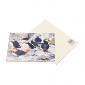 Offre Spéciale : Flyers, Brochures, Plis Pliés, Affiches, Cartes Postales et Flyers Promotionnels en Papier, Impression Personnalisée, Finition Brillante et Couleurs Vives - Product Image 6