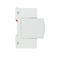 220v appareil parafoudre AC SPD 40KA SPD parafoudre Protection contre les surtensions 8/20 T2 classe 2P 20KA 40KA 60KA 80KA 100KA parafoudre