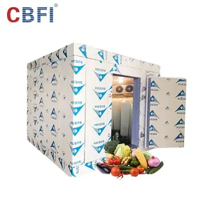 Venta caliente frío almacenamiento frío habitación sistema de refrigeración Frezeer habitación para carne y pescado