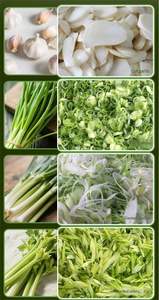 Commercial Stainless Steel Multi-functional Garlic Spring Onion Chopper Machine <b>Vegetable</b> <b>Cutter</b> with Motor As Core Component - Product Image 6