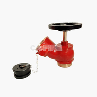 Ca-Fire 65mm vanne oblique de bouche d'incendie vanne d'atterrissage intérieure avec caractéristique flexible prix des fabricants