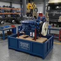 Ensemble moteur Weichai de haute qualité WP10 WP12 WP13 WD615 290 430 ch Euro2 pour camions lourds Sinotruk Howo F3000 Dongfeng