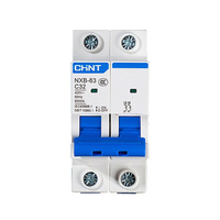 Interruptor Automático Miniatura Profesional de 2 Polos Chint Factory MCB-DZ47 NXB-63 Tipo C, Dispositivo Eléctrico que Cumple con las Normas CE, DP MCB de 1 a 63A