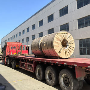 Новогодняя акция: Прямые поставки с завода – рулонная холоднокатаная нержавеющая сталь GB ASTM 201, 304, 316, 420, 321, 904, 2B, BA, HL, NO4 - Product Image 6