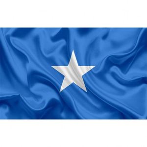 Hot Selling Custom Waterproof Hanging/Flying <b>Flags</b> and Banners Polyester Fabric All Countries Festival Somali <b>Flag</b> - Product Image 1