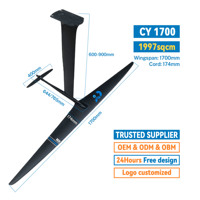 CY1700 Planche de Surf en Fibre de Carbone Unisexe Haute Qualité Vente en Gros, Hydrofoil Windsurf Water EFoil, Équipement de Sports Nautiques en Bois