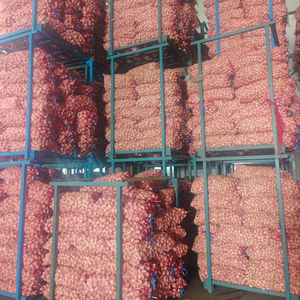 Bulbos de ajo fresco morado de nueva cosecha a la venta exportador confiable de China Ajo Chino Alho Fresco Popular en México - Product Image 6