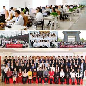 Râteau à gazon 2-<span class=keywords><strong>en</strong></span>-1 à 24 <span class=keywords><strong>dents</strong></span>, ramasse-feuilles, outils agricoles manuels, râteau de jardin pliable <span class=keywords><strong>en</strong></span> <span class=keywords><strong>plastique</strong></span> - Product Image 5