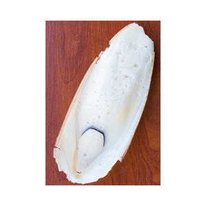 กระดูกปลาหมึกธรรมชาติ: อาหารเสริมแคลเซียมที่ยอดเยี่ยมสำหรับนก - Product Image 3