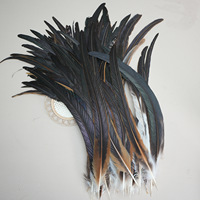 Plumes de coq naturelles brunes semi-bronzées de 40-45 cm, Plumas De Gallo, vente en gros pour costumes de carnaval, festival, samba