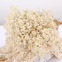 Fabrieksgroothandel Gedroogde Baby's Breath, 20+ Kleuren Gemengd Real Touch Droge Gypsophila Bloemen 120g Bruiloft, Pasen Feestdecoratie