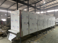 Nouvelle machine industrielle automatique à double extrudeur pour la fabrication de porridge instantané et de farine de tapioca, ligne de traitement des produits céréaliers