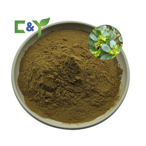 Горячая распродажа, экстракт портулака, порошок пурлака, экстракт листьев пурлака - Product Image 1