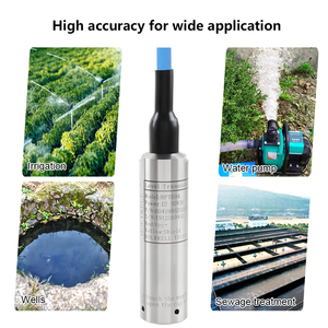 Holykell Đo Mực Nước Ngầm Lỗ Khoan 500M Đầu Dò Cảm Biến Mực Chất Lỏng Nước Giếng Sâu Cho Giếng Sâu - Product Image 6