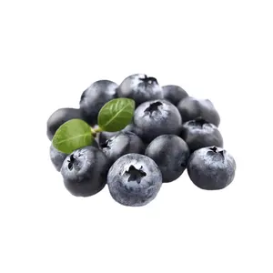 Bán buôn đông lạnh Blueberry giá số lượng lớn Hoang Dã iqf đông lạnh Quả Việt Quất