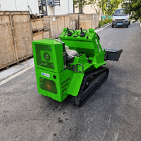 Chargeur compact T390 pour serres et vergers, mini-chargeuse sur chenilles en caoutchouc, capacité de charge nominale de 250 kg, EPA Euro5, utilisation facile