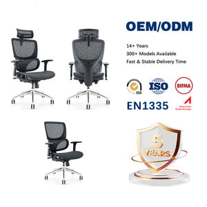 Silla Ejecutiva Ergonómica de Malla de Lujo con Altura Ajustable y Certificación BIFMA para Uso Comercial - Product Image 1