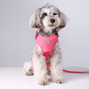 PAWQOOF <b>Pink</b> Nylon <b>Dog</b> <b>Harness</b> Adjustable Reflective Small Breed Simple Style for <b>Dogs</b> - Product Image 1