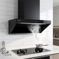 Hotte murale en acier inoxydable à aspiration latérale, forte puissance d'aspiration, design fin et peu encombrant, échappement ventilé pour hôtel