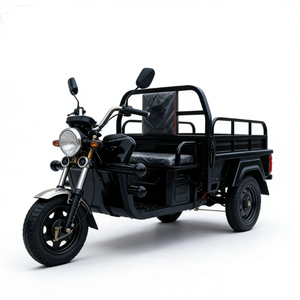 Op maat gemaakte open zwarte vetbanden onderdelen 1000W <span class=keywords><strong>3</strong></span>-wiel motorfietsen elektrische motorfiets vrachtwagen vrachtbezorging driewieler voor volwassenen - Product Image 4