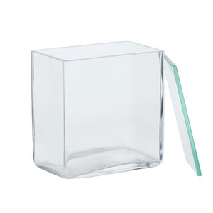 Camera di Sviluppo Cromatografica a Strato Sottile con Doppio Scanalamento Tipo P-1 in Vetro da Laboratorio, Serbatoio di Saturazione - Product Image 3