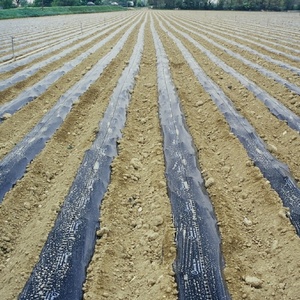 Plástico Agrícola Negro Plateado, Película <span class=keywords><strong>de</strong></span> Polietileno para Control <span class=keywords><strong>de</strong></span> Malezas - Product Image 5