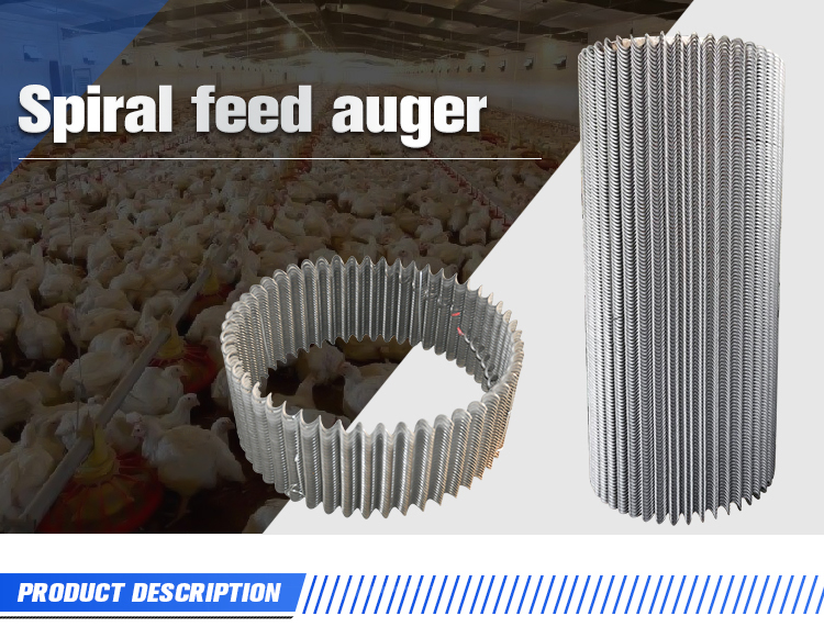 South Africa auger use in automatic feeding system