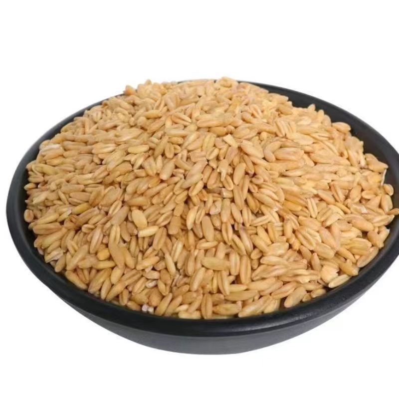 The latest season gluten-free peeled sugar-free breakfast raw material oats.