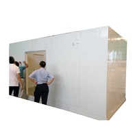 Chambres Froides Personnalisées avec Panneaux PU Haute Densité 43kg/m3, Résistance au Feu de Classe B1, Fabricant