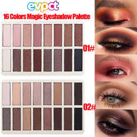 Nouvelle palette de fards à paupières pratique, 16 couleurs, haute valeur, couleurs terre, métalliques, nacrées, en poudre sèche, prix de gros attractif