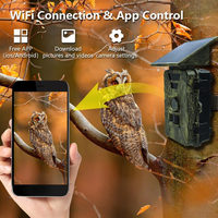 Wildlife 8K IP66 Étanche 120 ° Caméra de chasse à vision nocturne à large angle alimentée par énergie solaire LTE 4G avec 6 mois d'autonomie en veille