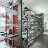 Système de cage à batterie de type H, équipement avicole automatique pour l'élevage avicole à haute efficacité