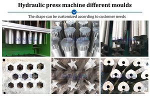 Excellente machine hydraulique de production de charbon de bois de machine de moulage de poudre de charbon de bois - Product Image 6