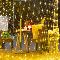 Guirlande lumineuse YN Starlight Flashing Fishing Net Light IP65 à LED blanc chaud dimmable, 1,5 m de long, pour extérieur, maison, Noël
