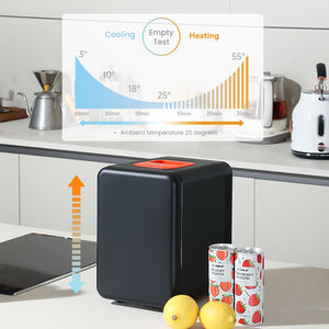 Evercool Populair In Europese 10l Thermo-Elektrische Koeler Warmer Draagbare Minikoelkast <span class=keywords><strong>Mini</strong></span> Draagbare Koeler - Product Image 4