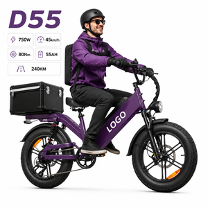 Bicicleta Eléctrica de Carga D55, 48V 750W, Llanta Gruesa de 20 Pulgadas, Plegable, Batería de 55Ah, Alcance de 240km, Freno de Disco, Cuadro de Aluminio - Product Image 1