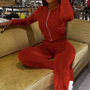 בציר קטיפה ברדס קבול העליון & מכנסיים קטיפה צבעונית קטיפה מרושכת יבול ברדס למעלה & מכנסיים סט אופנה מזדמנים - Product Image 3