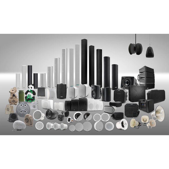 DSPPA PA System Ausio System Lecture Hall Speakers Waterproof Line Array Speakers
