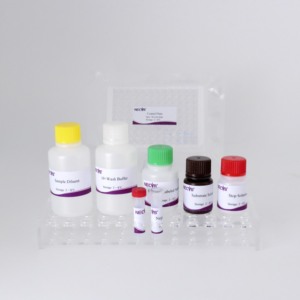 Phi lợn sốt virus kháng thể kiểm tra | cạnh tranh <span class=keywords><strong>Elisa</strong></span> Kit | độ nhạy cao | ISO chứng nhận - Product Image 2