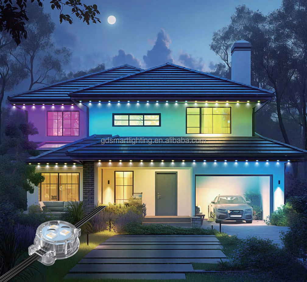 DC24V 30mm IP67 RGBW App Control Permanent Outdoor Pixel Point Light Led Eave Lights for Home Christmas Decorations