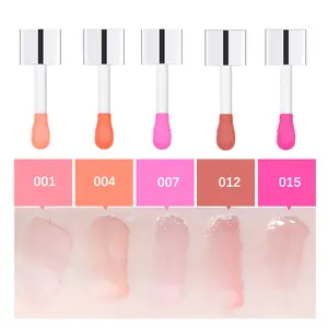 2024 Hot Selling Private Label Lip Tint Hydrating Cherry Glow Reviver Lip Oil Waterproof 5G Vegan Liquid Nude MSDS 3 Years 123