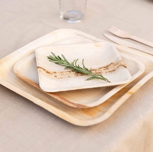 Paquete de 10 Vajilla de hoja de palma Areca Platos de cóctel de bambú desechables pequeños para restaurantes Utensilios Género - Product Image 3