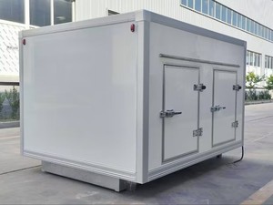 Plataforma Eutéctica 2026 para Congelación Profunda, Carrocería de Camión a Medida para Entrega de Helados - Product Image 3