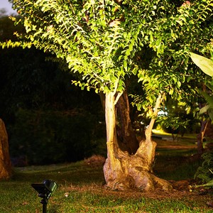 Extérieur Étanche <span class=keywords><strong>Led</strong></span> <span class=keywords><strong>Solaire</strong></span> Jardin Lumière Sol Pelouse Lampe <span class=keywords><strong>Solaire</strong></span> Éclairage Voie Paysage Spot Lumière - Product Image 5