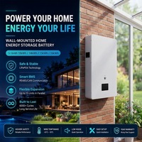Batterie de stockage d'énergie domestique murale 51,2 V 100 Ah 200 Ah 300 Ah LiFePO4 pour onduleur hybride