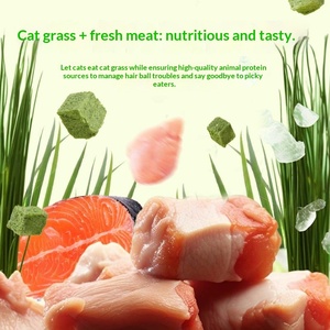 Snack per Gatti Biologici Senza Cereali, Essiccati a Freddo, per Pulizia Orale e Rimozione Delicata dei Noduli di Pelo, in Confezione Lattina, Vendita all'Ingrosso - Product Image 2