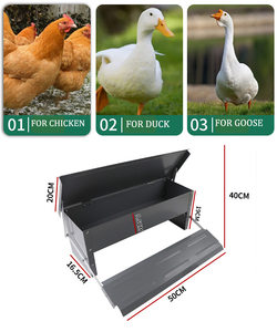 Mangeoire automatique à pédale galvanisée de haute qualité pour poulets, <span class=keywords><strong>abreuvoir</strong></span> extérieur pour volailles de ferme - Product Image 6