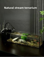Aquarium rectangulaire de 60 cm en verre ultra-blanc, design moderne, table basse, aquarium, filtre, vente en gros d'usine