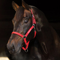Vente en gros d'équitation Halter Premium Nylon Headstall de cheval Produits équins Cheval Halter Bridle Head Collar