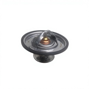 WP10, 83.C, หมายเลขชิ้นส่วนเทอร์โมสตัท 612640060121 - Product Image 1